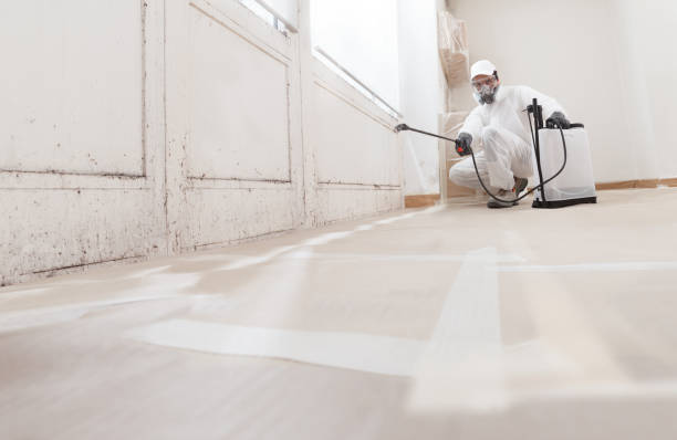 24/7 Emergency Attic Mold Removal experts in Drewryville, VA